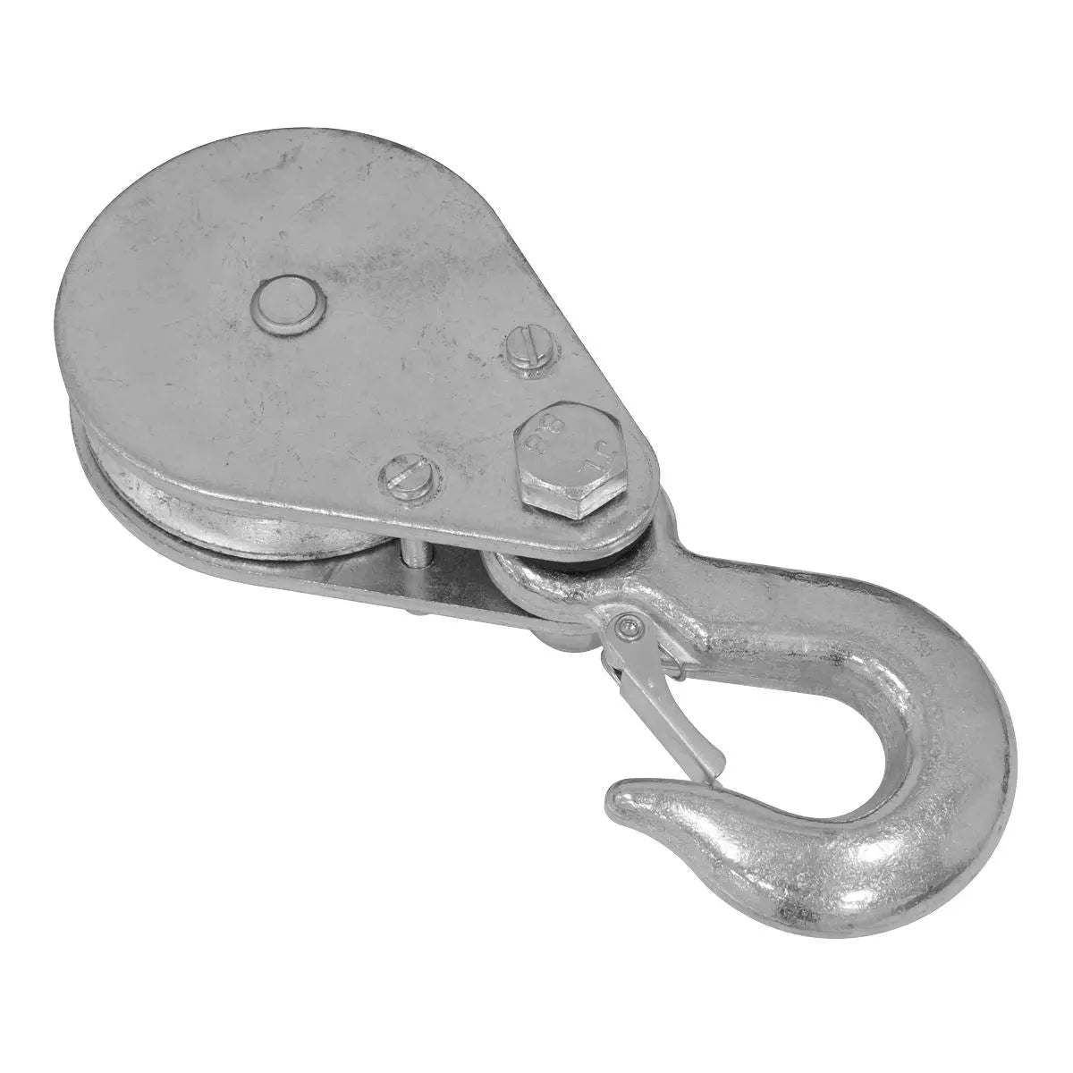 Sealey Power Hoist 230V/1ph 1000kg Capacity  White Rose Tools