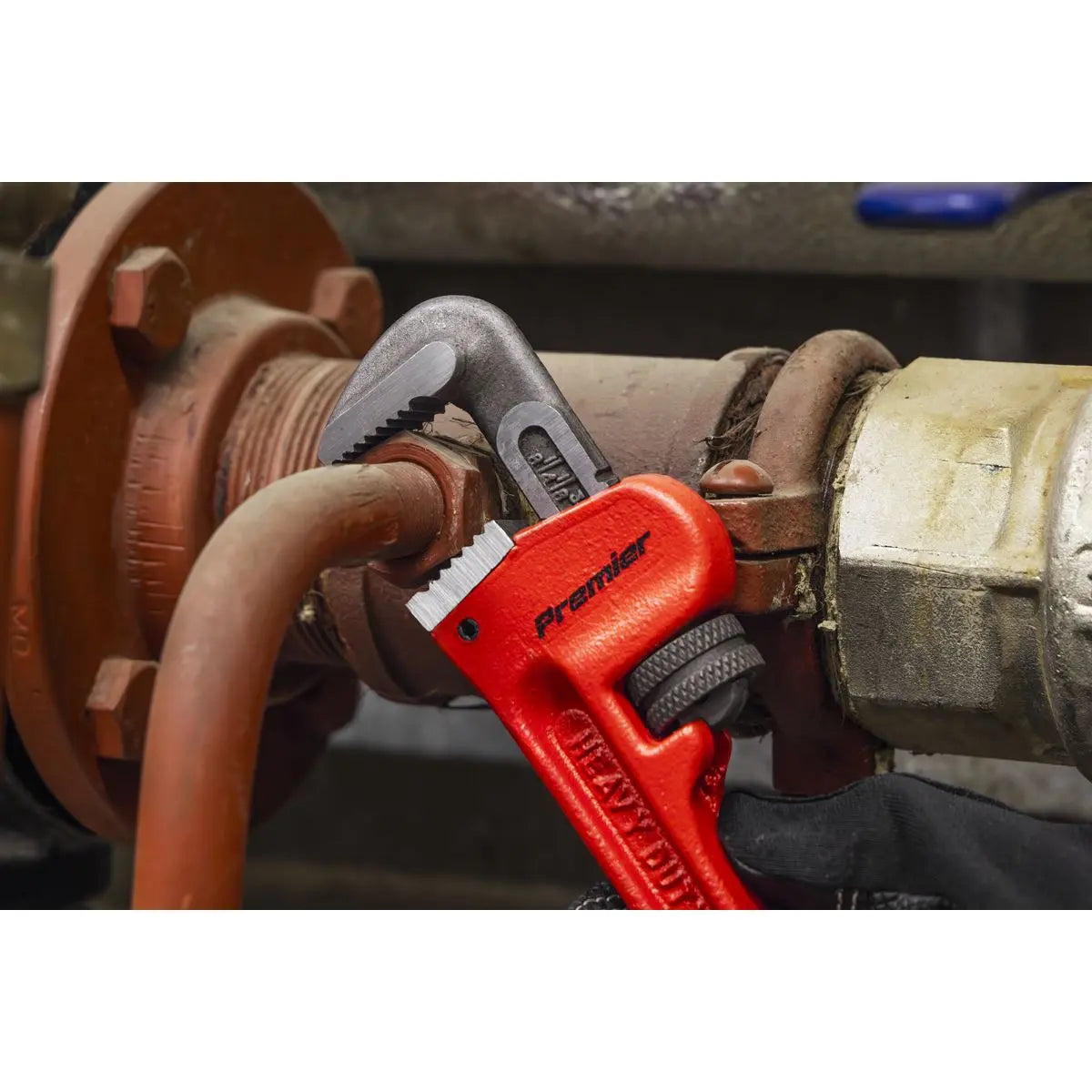 Sealey Premier Cast Steel Pipe Wrench European Pattern 200mm  White Rose Tools