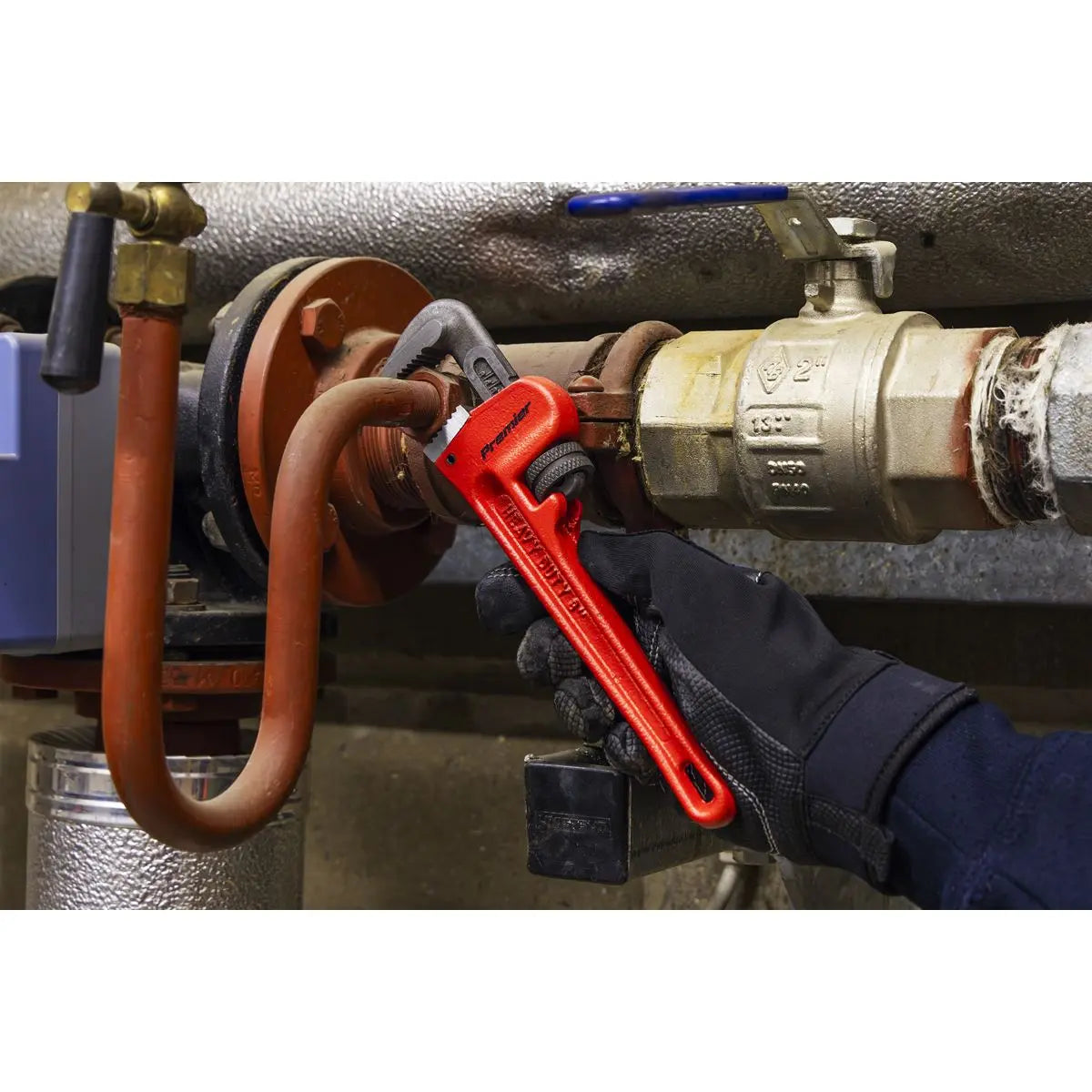 Sealey Premier Cast Steel Pipe Wrench European Pattern 200mm  White Rose Tools