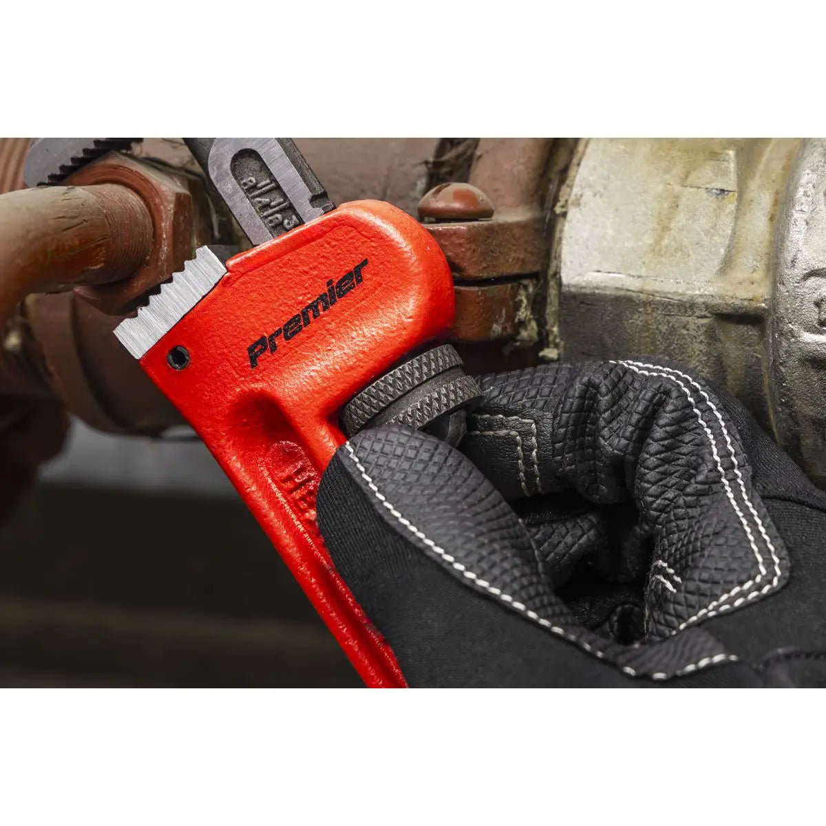 Sealey Premier Cast Steel Pipe Wrench European Pattern 200mm  White Rose Tools