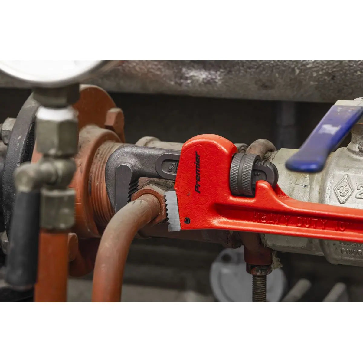 Sealey Premier Cast Steel Pipe Wrench European Pattern 250mm  White Rose Tools