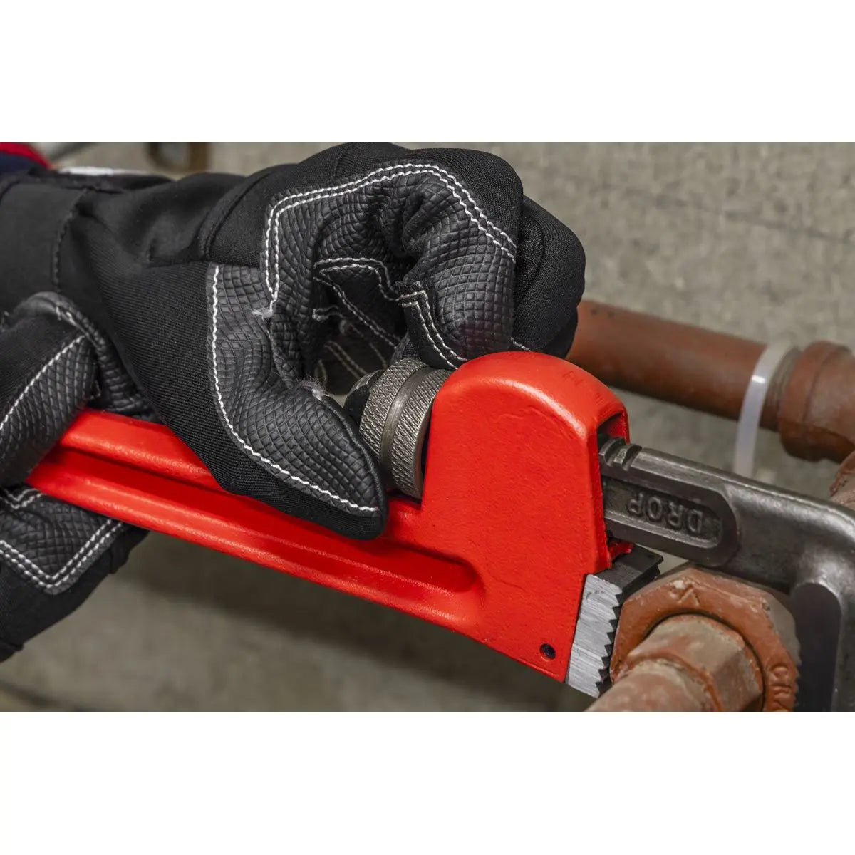 Sealey Premier Cast Steel Pipe Wrench European Pattern 300mm  White Rose Tools