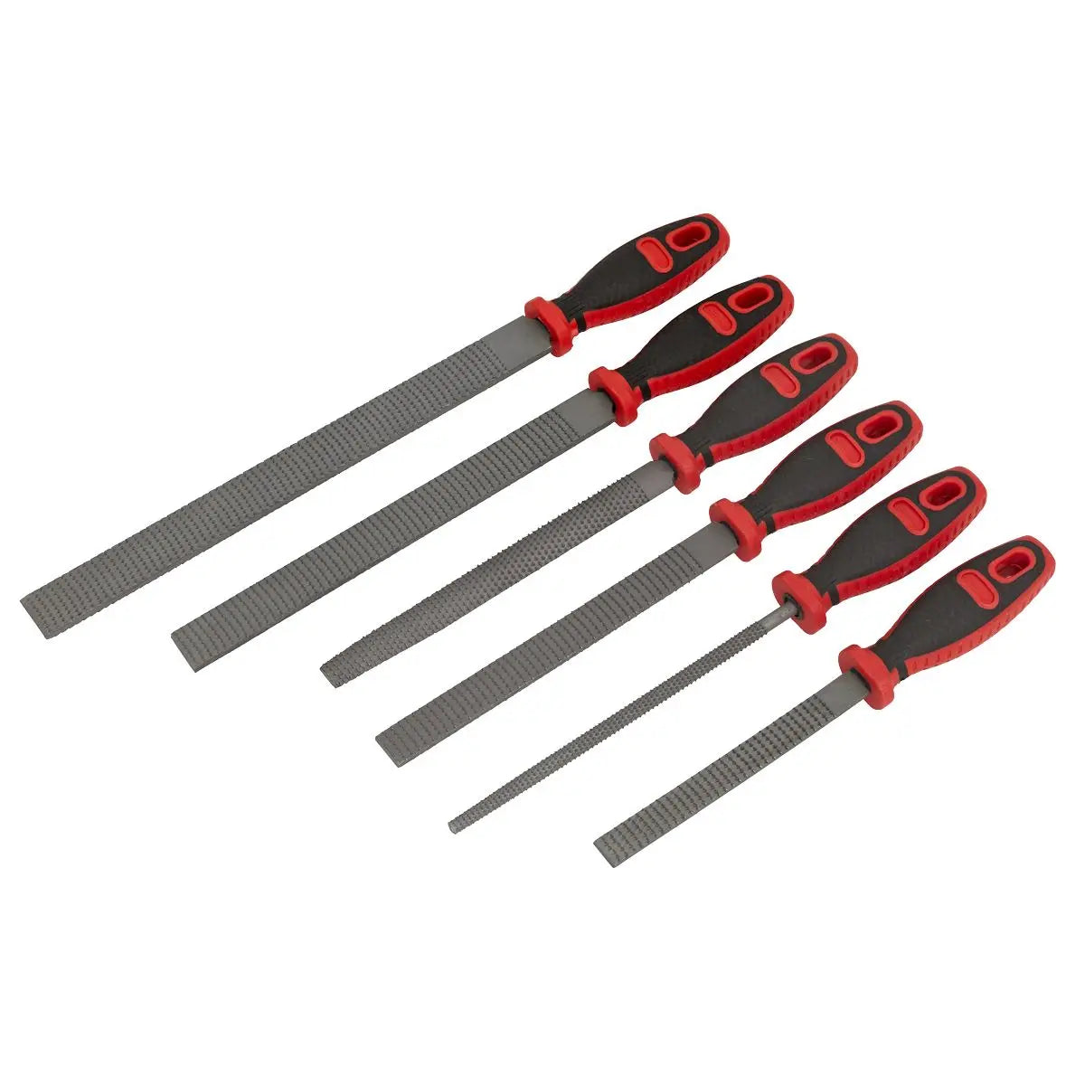 Sealey Premier Rasp File Set 6pc  White Rose Tools