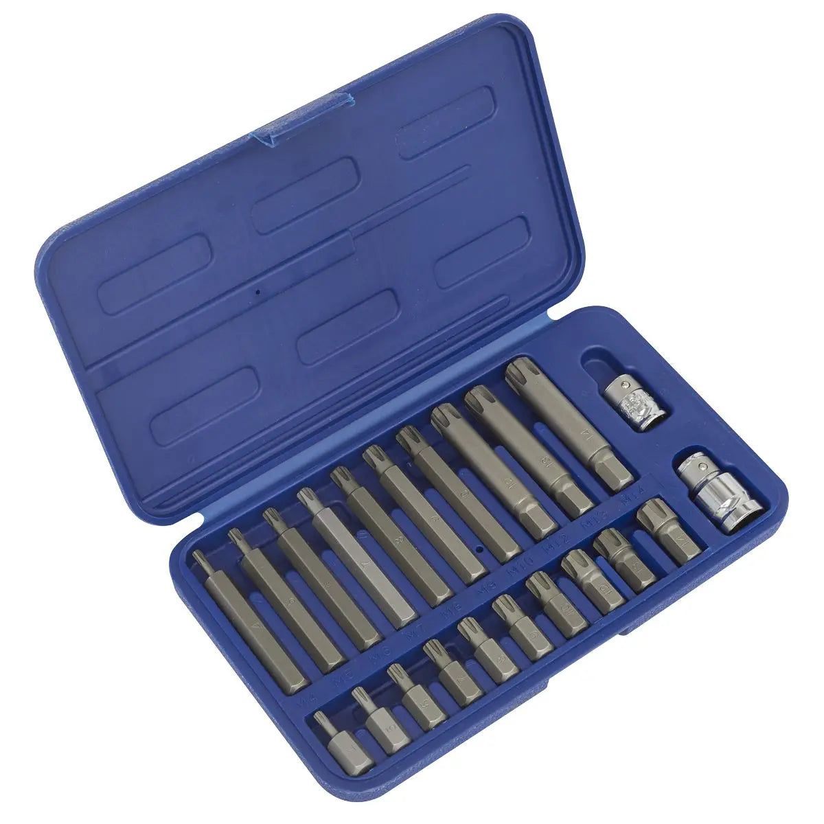 Sealey Premier Ribe Bit Set 22pc 3/8" & 1/2"Sq Drive 