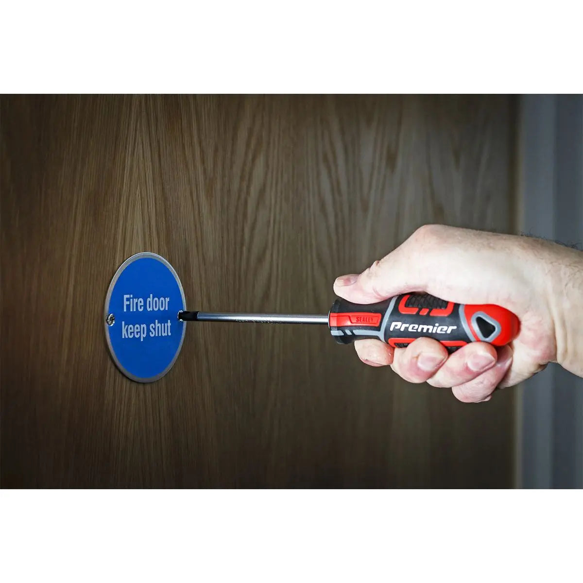 Sealey Premier Screwdriver Phillips #2 x 100mm GripMAX® 