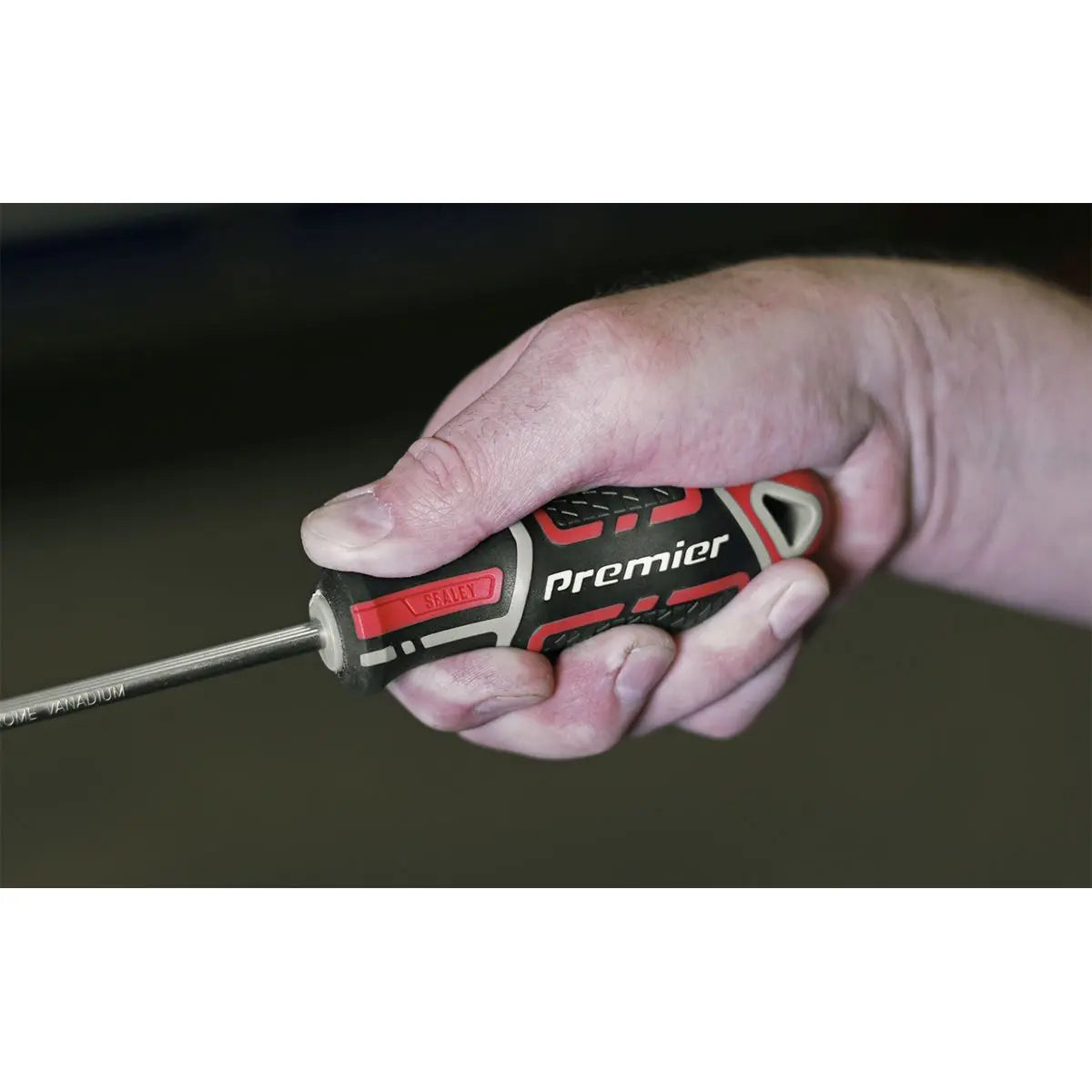 Sealey Premier Screwdriver Phillips #2 x 100mm GripMAX® 