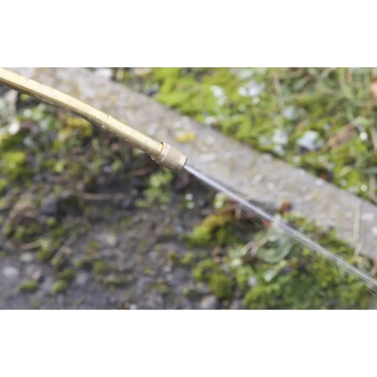 Sealey Pressure Sprayer 5L Gardening Pesticide Herbicide Fluid Bottle Lance 
