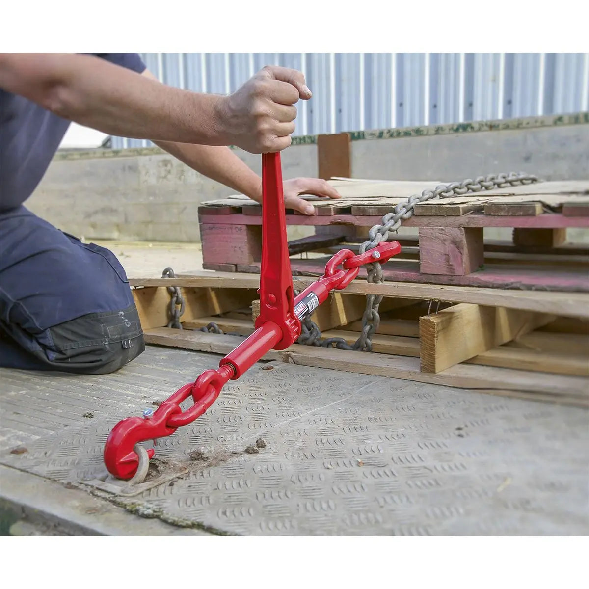 Sealey Ratchet Load Binder 9.5-12.7mm 4200kg Capacity 
