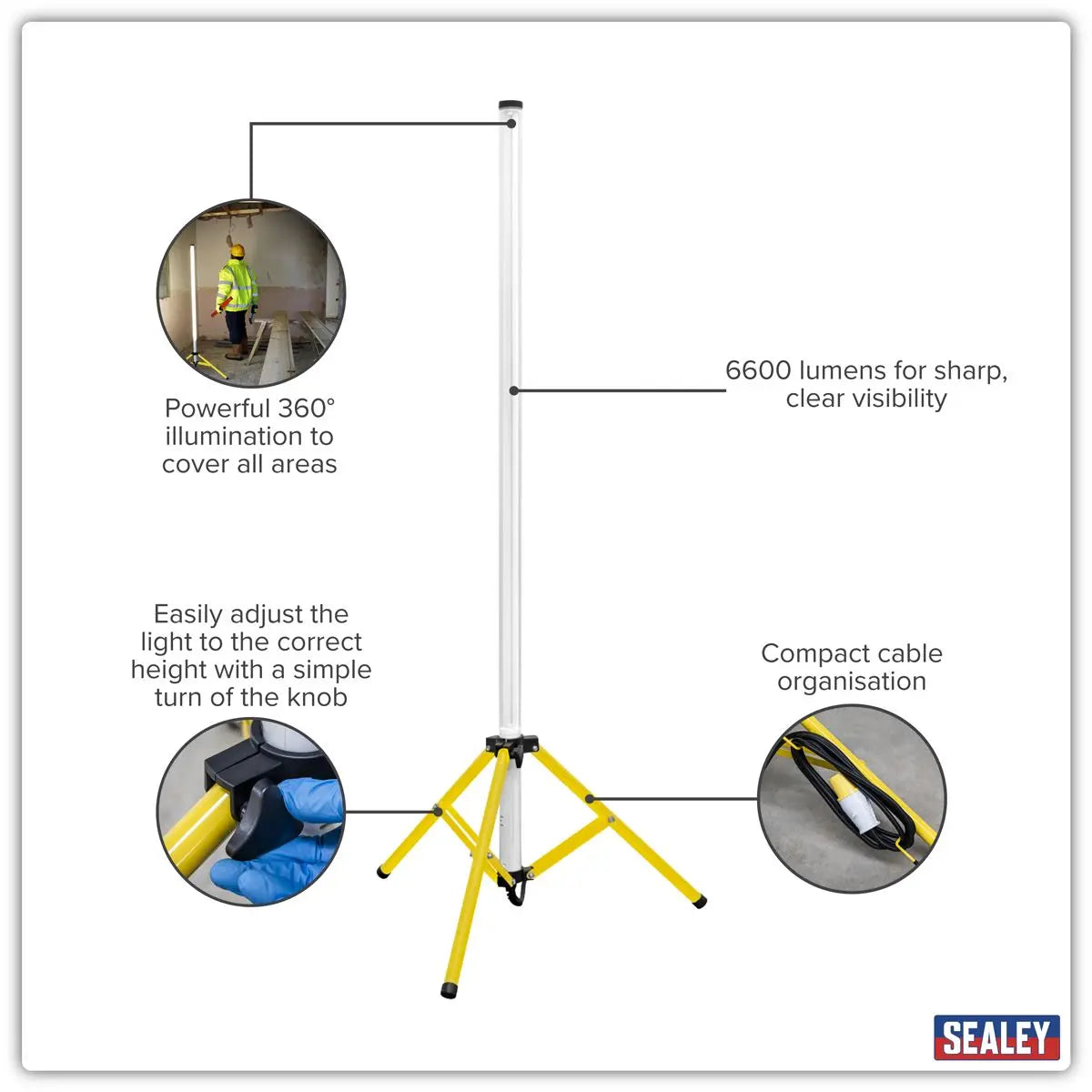 Sealey Slim Standing Floodlight 360° 60W SMD LED 110V  White Rose Tools