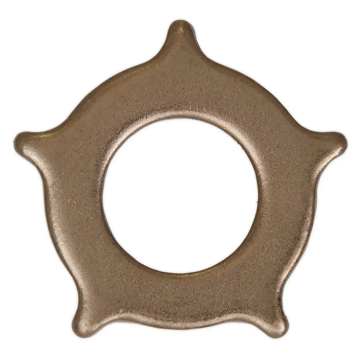 Sealey Star Washer for SR2000 Pack of 10 