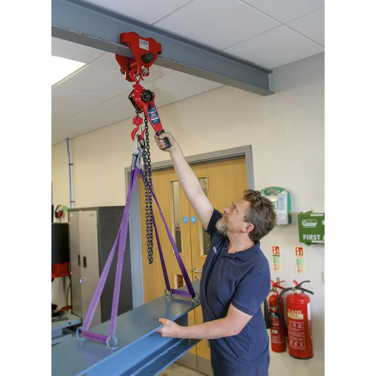 Sealey Steel Lever Hoist 750kg 