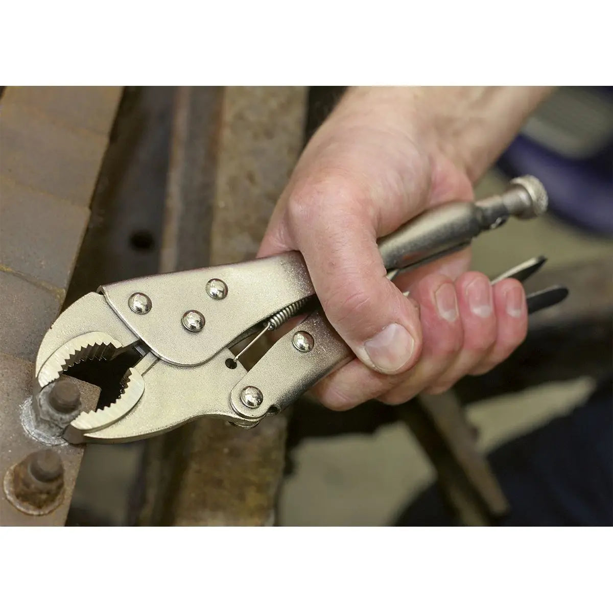 Siegen by Sealey Locking Pliers Set 3pc 