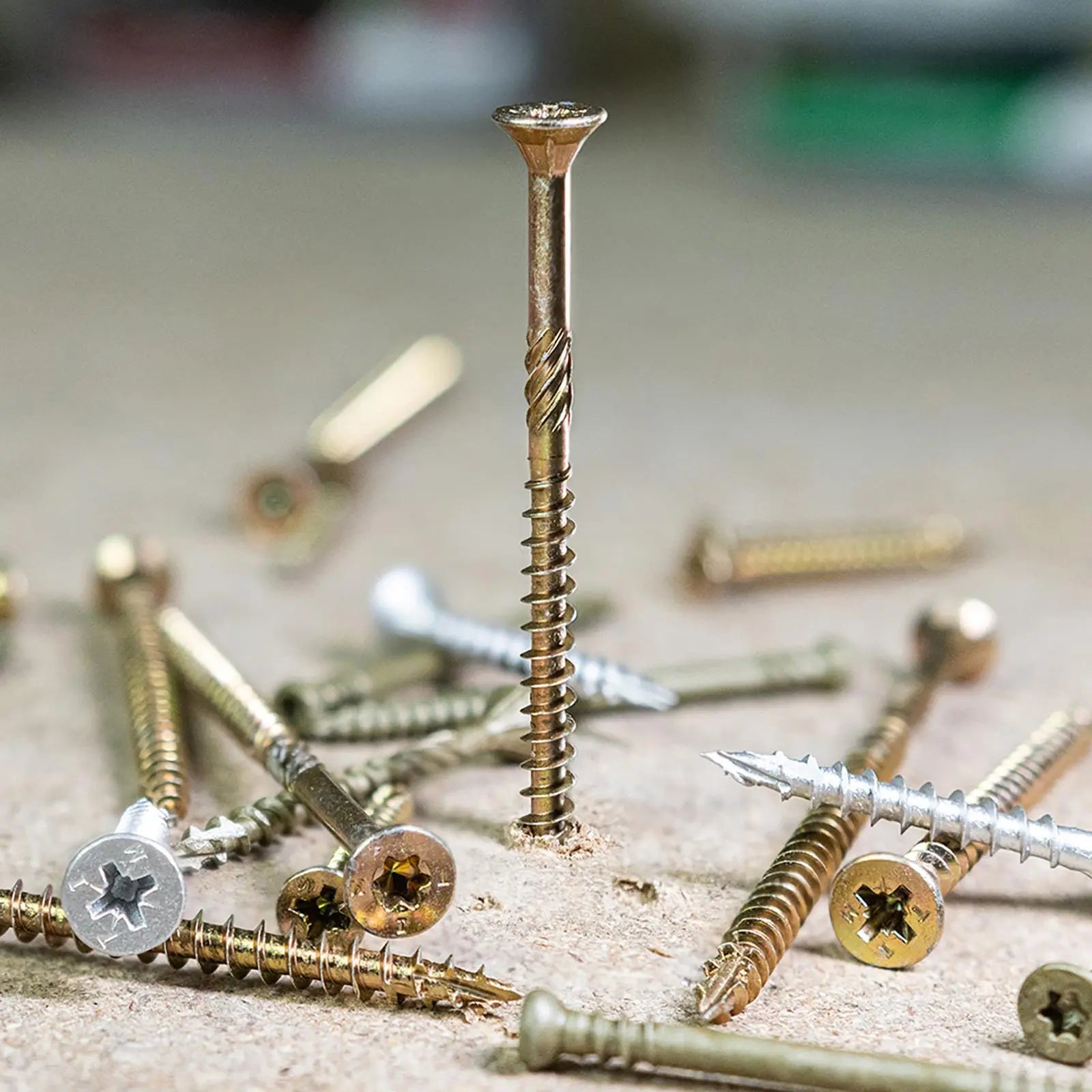 TIMCO C2 Strong Fix Pozi Premium Wood Screws 1000 Pack Industry Box PZ2 - Choose Size  White Rose Tools