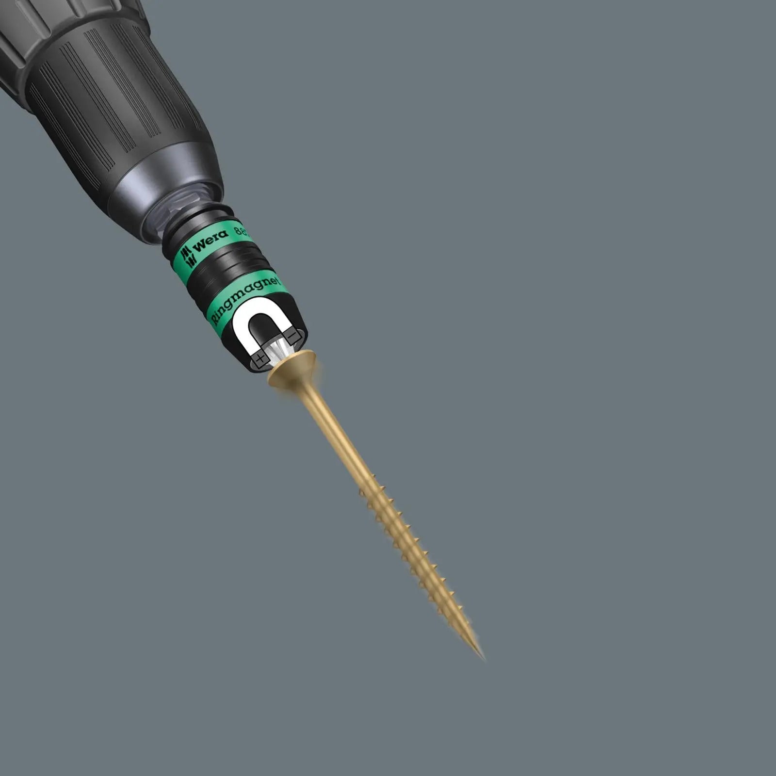 Wera Wood Screwdriver Bits Torx with Holding Function 30 Piece Bit-Check 30 Wood TX HF 1  White Rose Tools