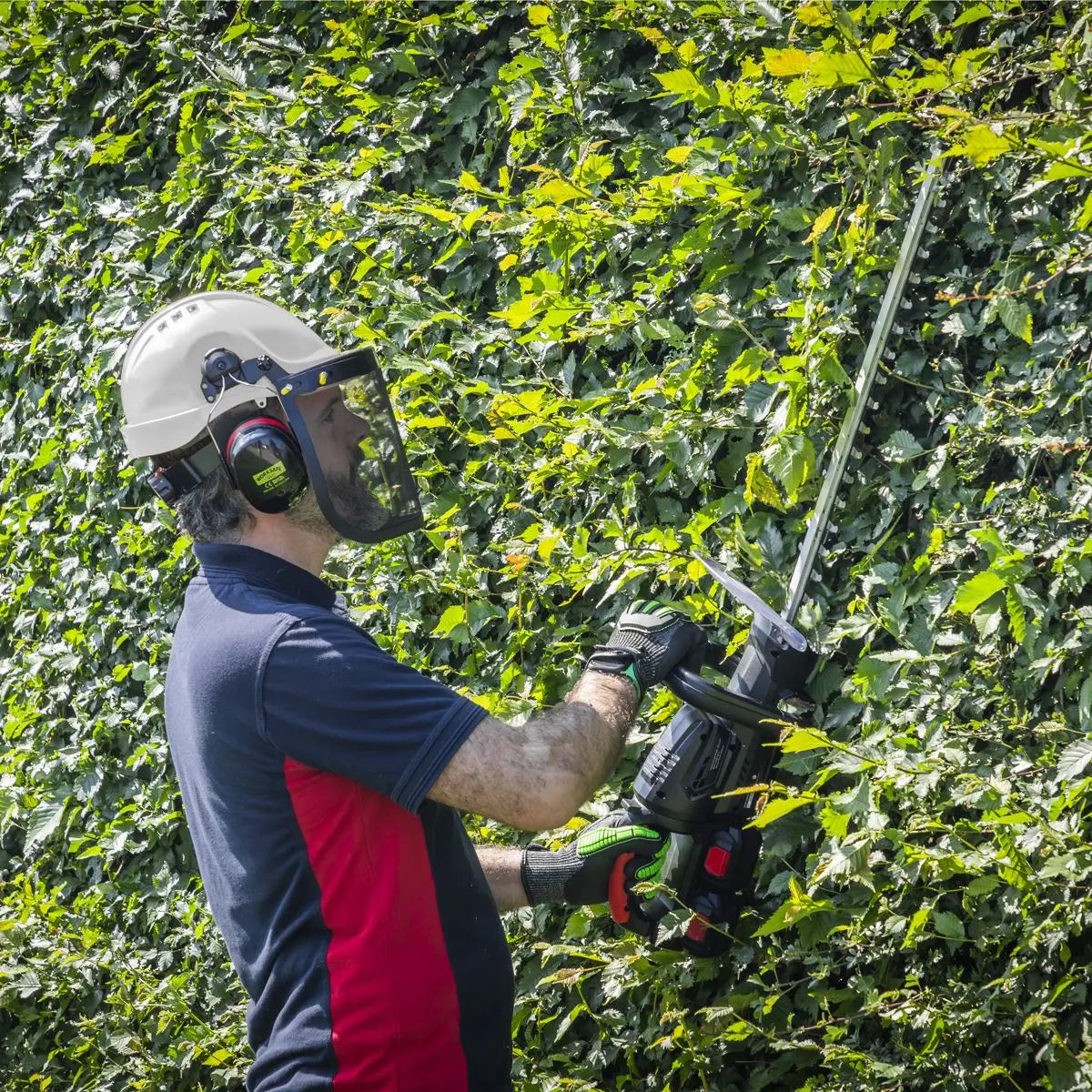 Worksafe by Sealey Forestry Kit 