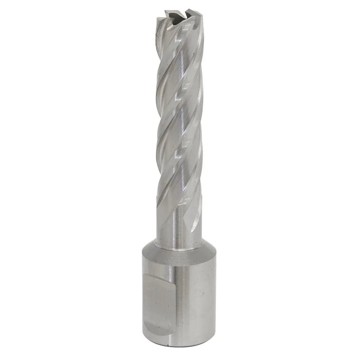 Worksafe by Sealey Mag Drill Bit HSS Ø12mm - Cut Depth 50mm 