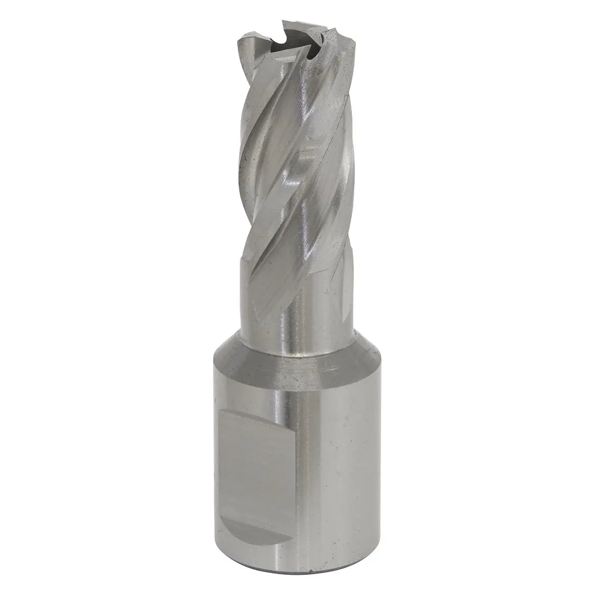 Worksafe by Sealey Mag Drill Bit HSS Ø13mm - Cut Depth 25mm 