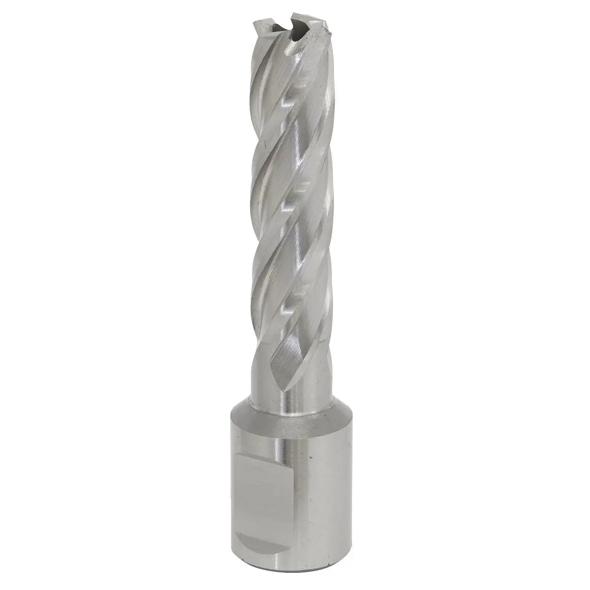 Worksafe by Sealey Mag Drill Bit HSS Ø13mm - Cut Depth 50mm 