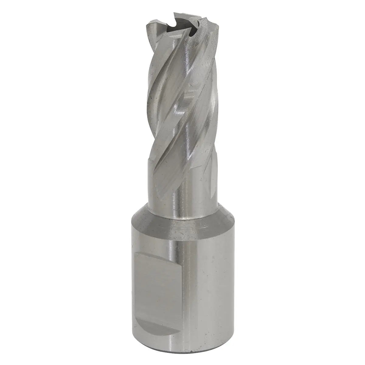 Worksafe by Sealey Mag Drill Bit HSS Ø14mm - Cut Depth 25mm 