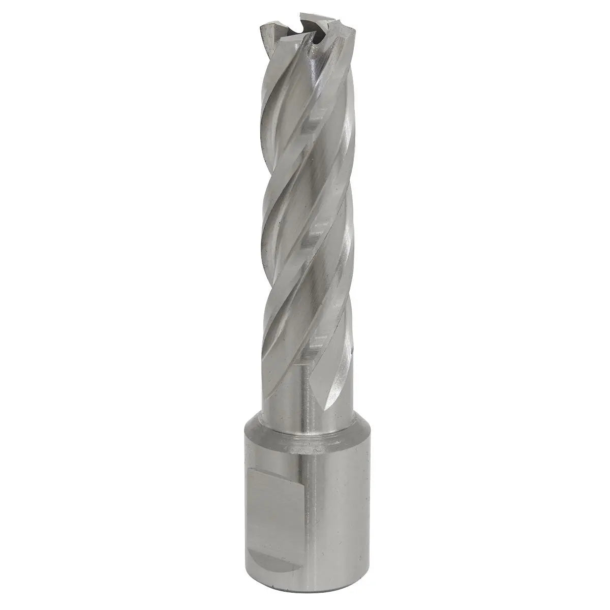 Worksafe by Sealey Mag Drill Bit HSS Ø14mm - Cut Depth 50mm 