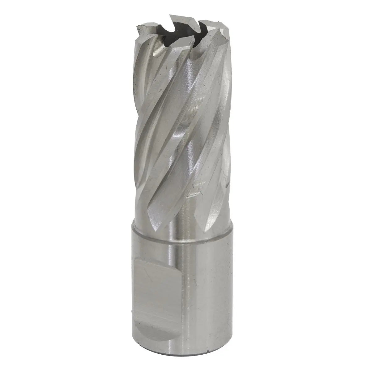Worksafe by Sealey Mag Drill Bit HSS Ø18mm - Cut Depth 25mm 