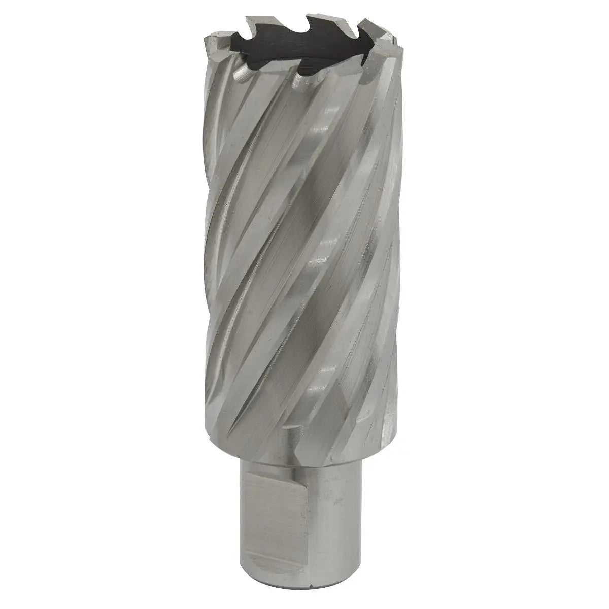 Worksafe by Sealey Mag Drill Bit HSS Ø29mm - Cut Depth 50mm 