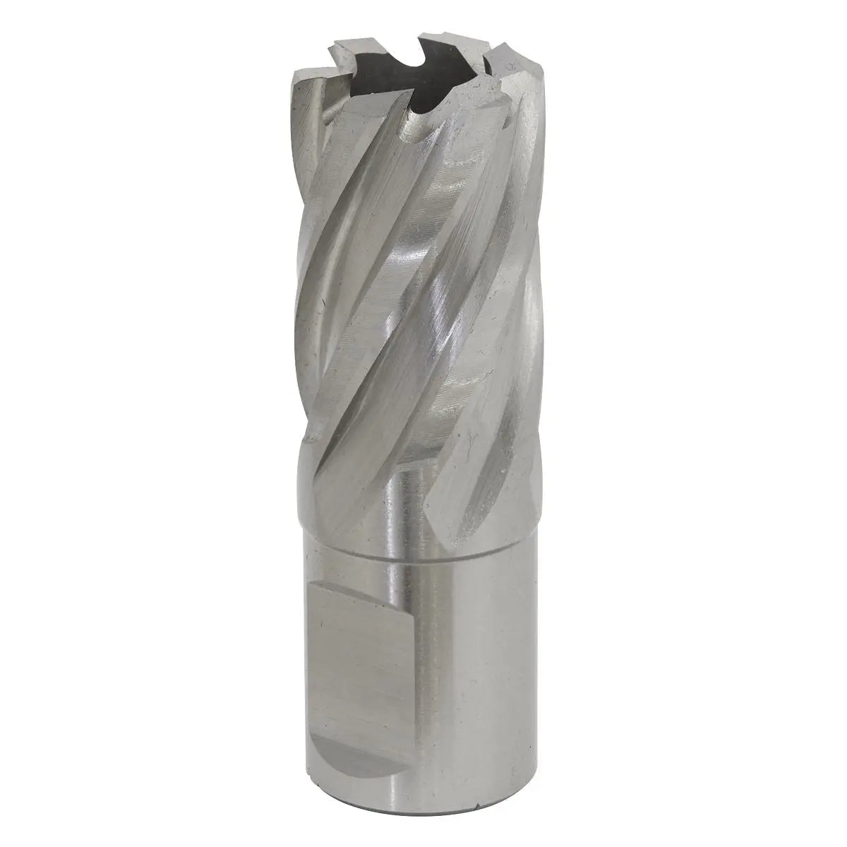 Worksafe by Sealey Mag Drill BitHSS Ø21mm - Cut Depth 25mm 