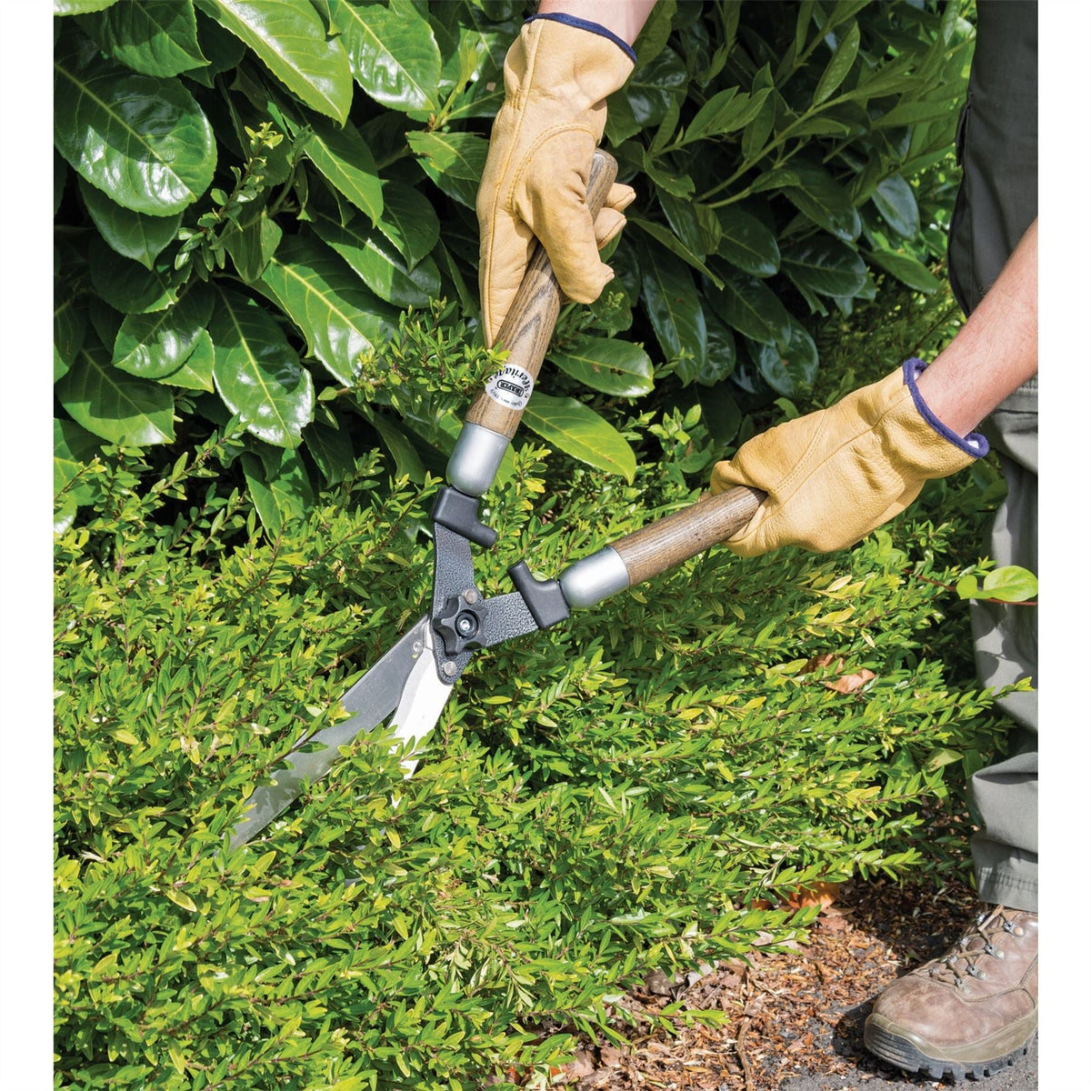 Draper Heritage Garden Shears with Wave Edges and Ash Handles 230mm 36792  White Rose Tools