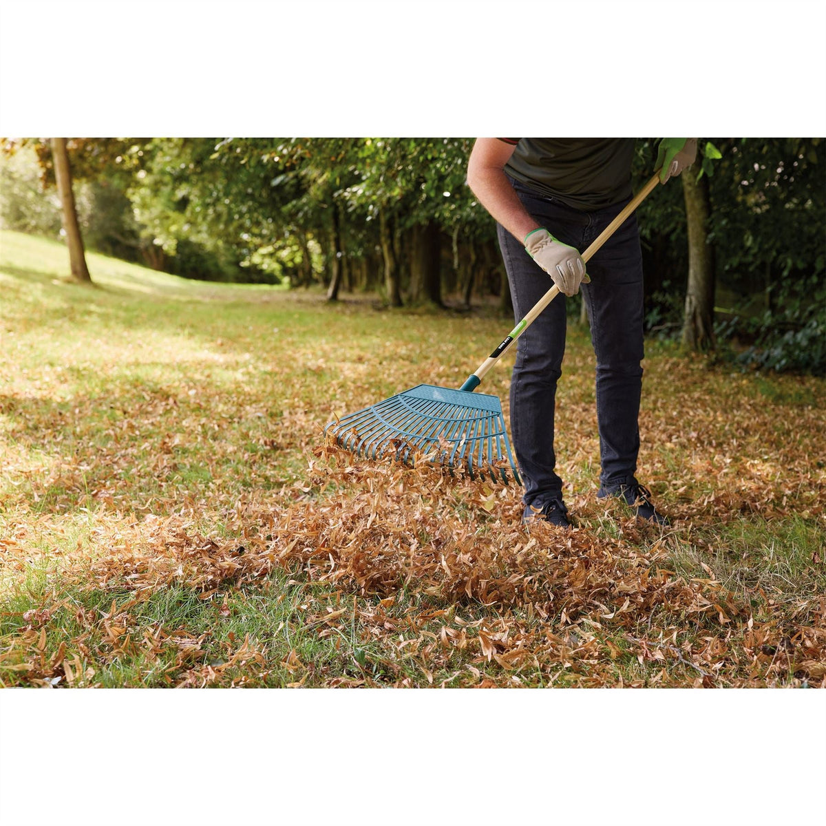 Draper Plastic Leaf Rake 550mm 31069  White Rose Tools