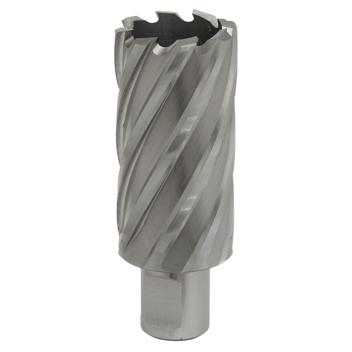 Worksafe by Sealey Mag Drill Bit HSS Ø32mm - Cut Depth 50mm 