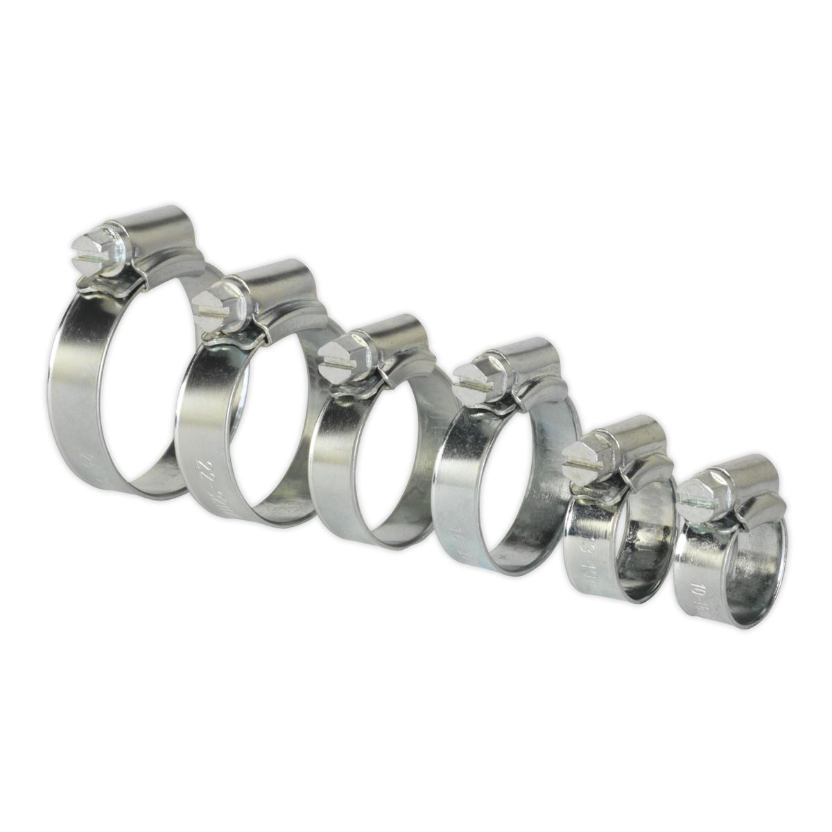 Sealey Hose Clip Assortment 30pc Ø8-29mm Zinc Plated