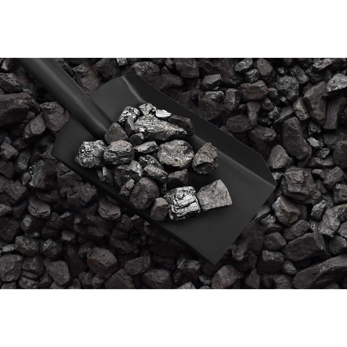 Sealey Coal Shovel 4" with 160mm Handle