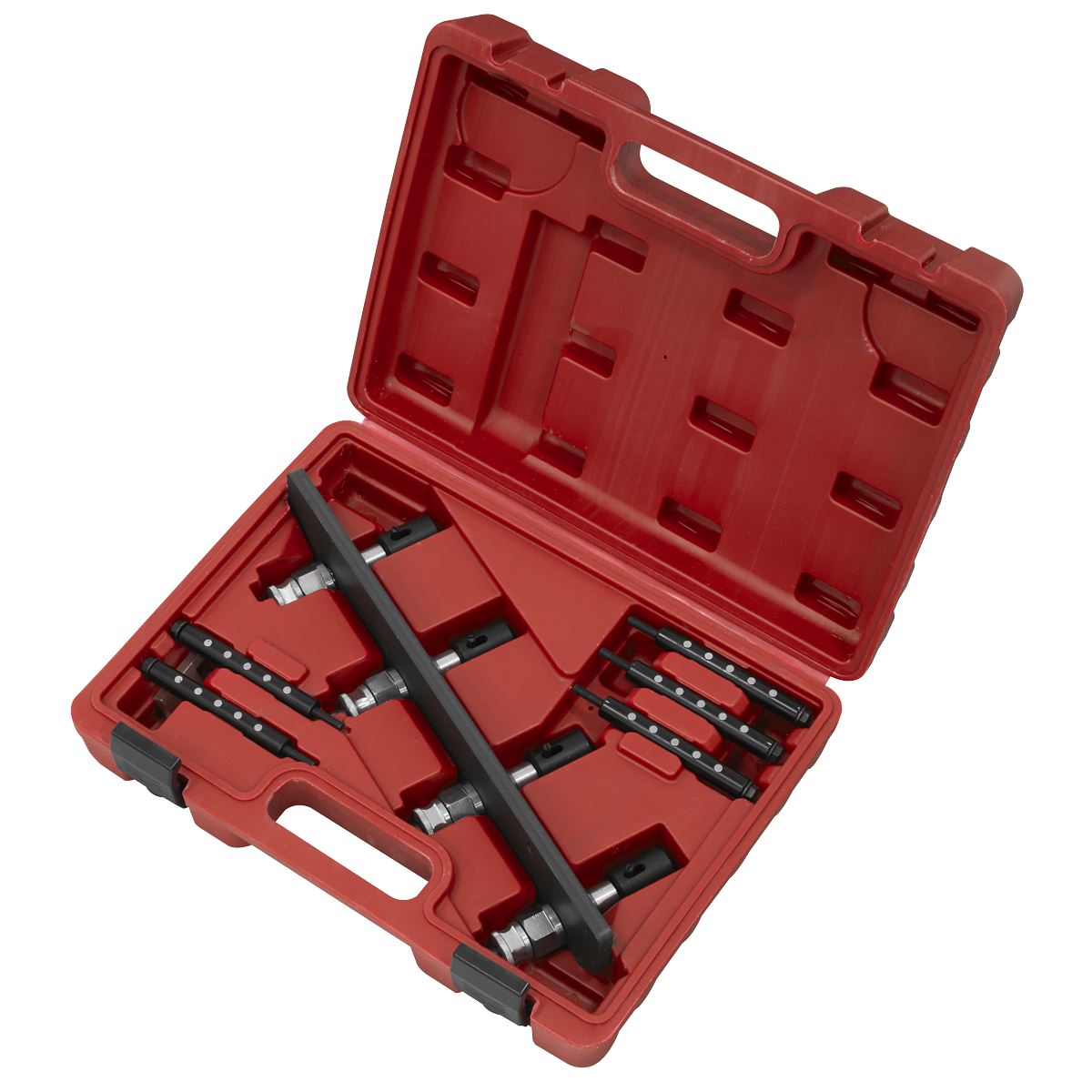 Sealey BMW, Mini Petrol Fuel Injection Removal/Installation Kit