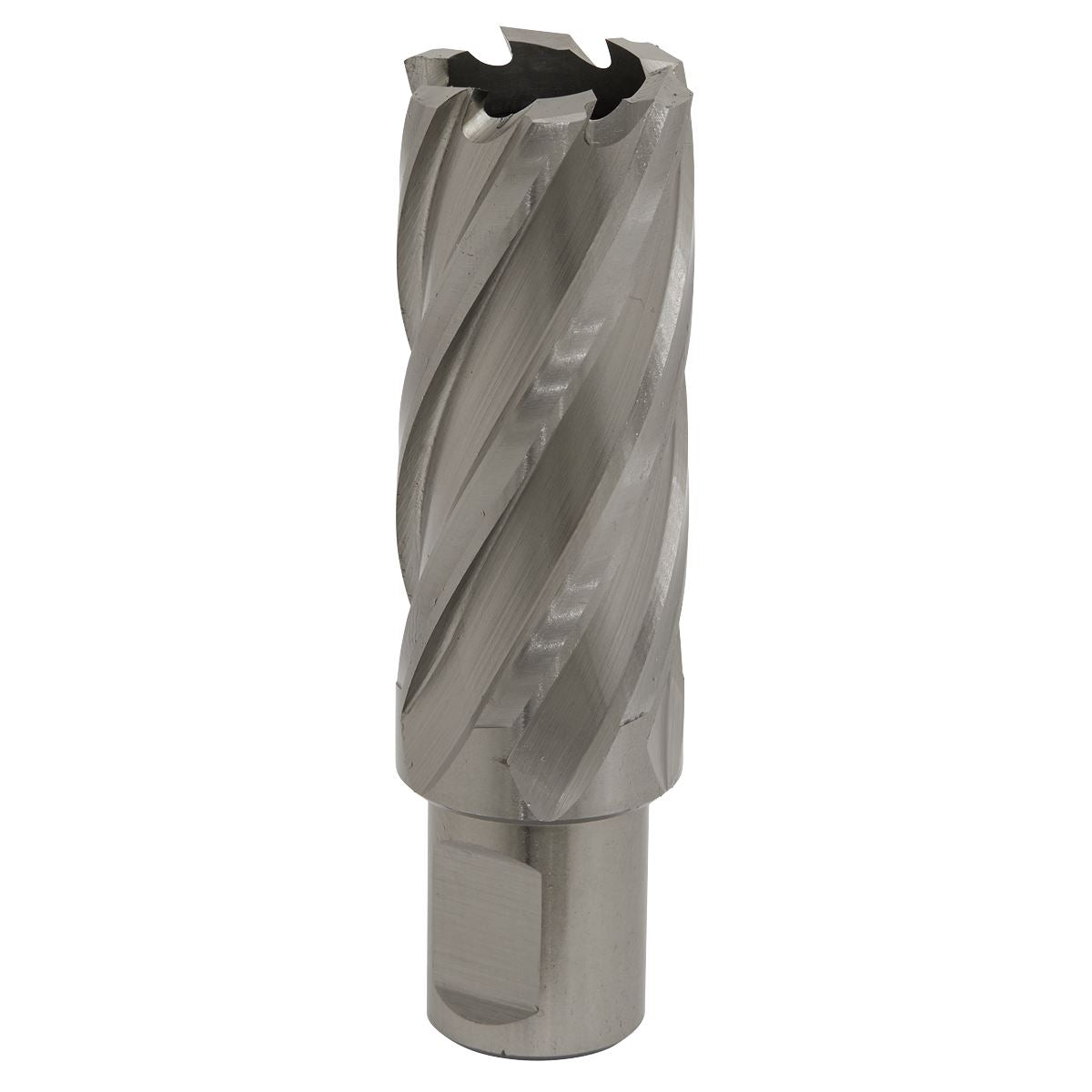 Worksafe by Sealey Mag Drill Bit HSS Ø25mm - Cut Depth 50mm