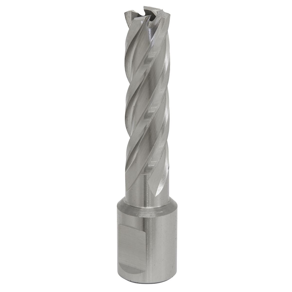 Worksafe by Sealey Mag Drill Bit HSS Ø14mm - Cut Depth 50mm