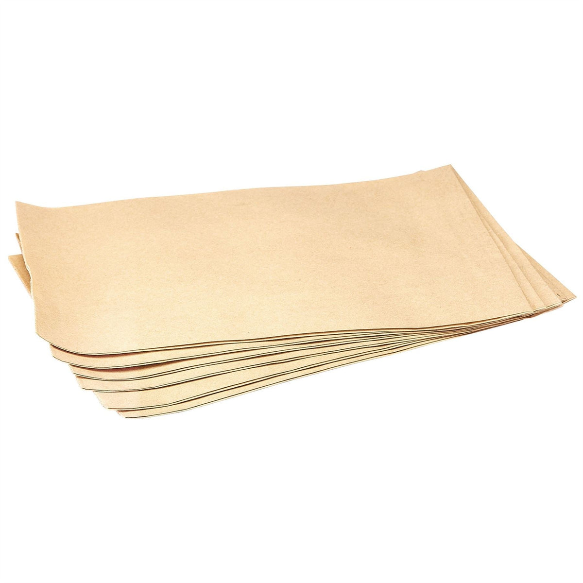 Draper Six Paper Motor Filters (for Stock No. 40130 and 40131) 40157  White Rose Tools