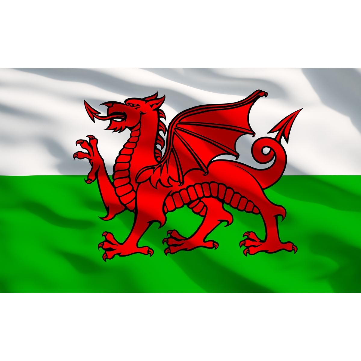 Sealey Toolbox Graphics Pack - Wales