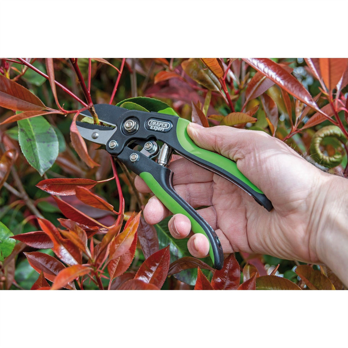 Draper Expert Anvil Pattern Secateurs 200mm 94983  White Rose Tools
