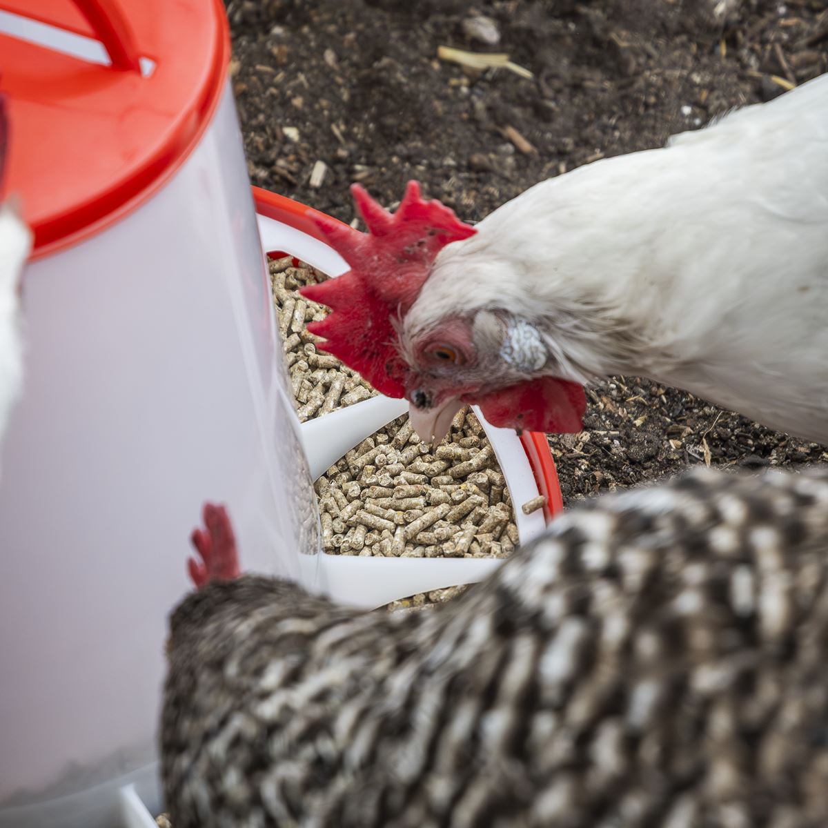Sealey Poultry Feeder 6kg 