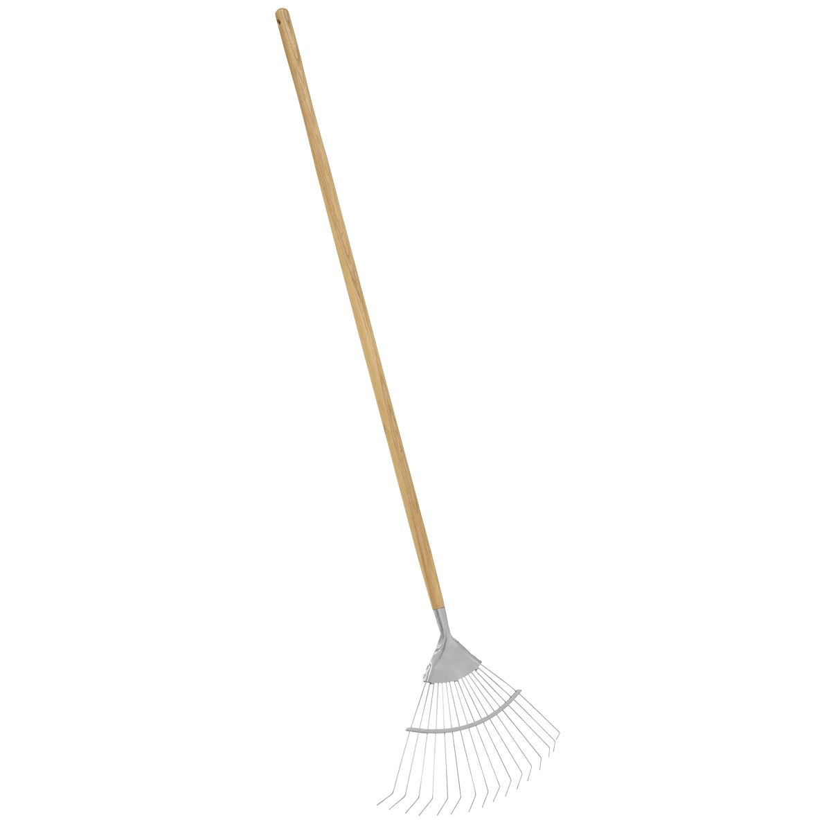 Sealey Premier Lawn Rake with Long Ash Handle & Stainless Steel Tines