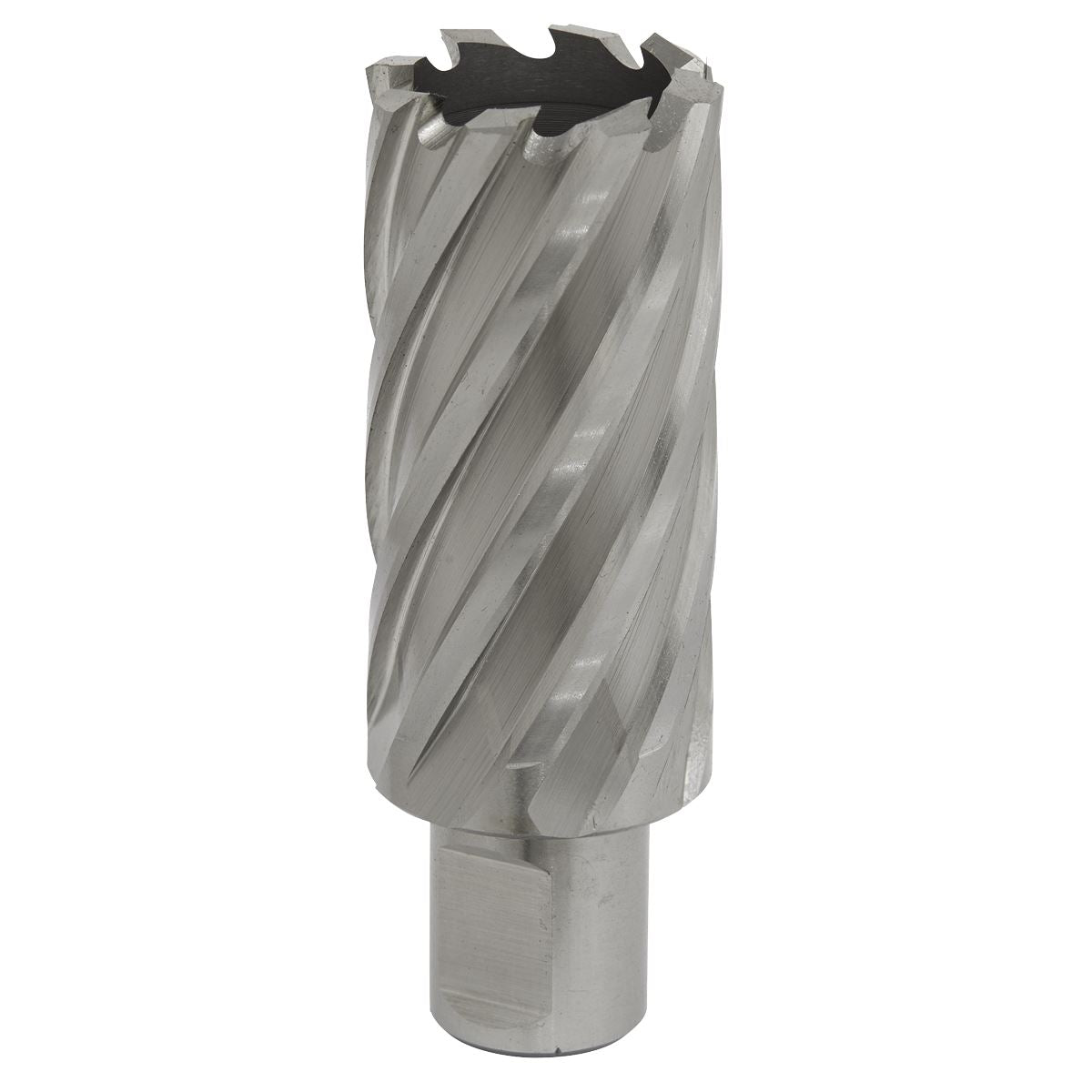 Worksafe by Sealey Mag Drill Bit HSS Ø29mm - Cut Depth 50mm 