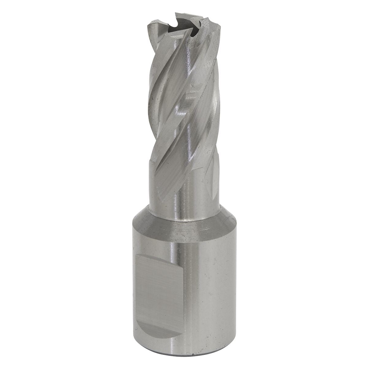 Worksafe by Sealey Mag Drill Bit HSS Ø13mm - Cut Depth 25mm