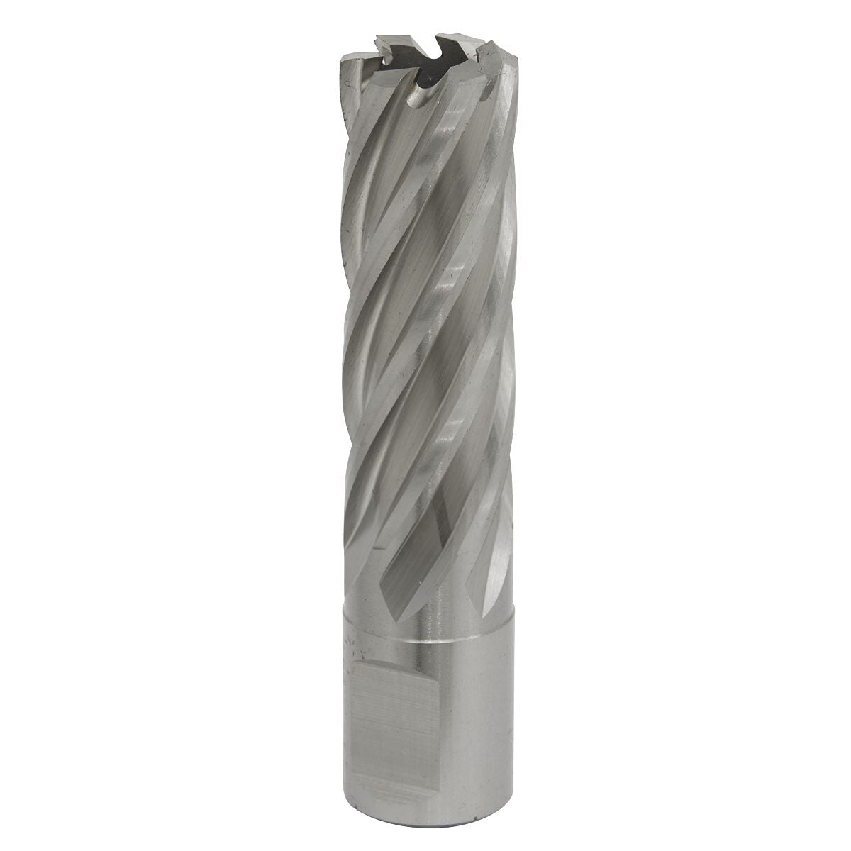 Worksafe by Sealey Mag Drill Bit HSS Ø19mm - Cut Depth 50mm