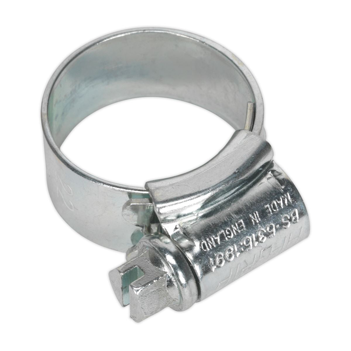 Sealey 30 Pack Hi-Grip Hose Clips (14-22mm x 12mm)