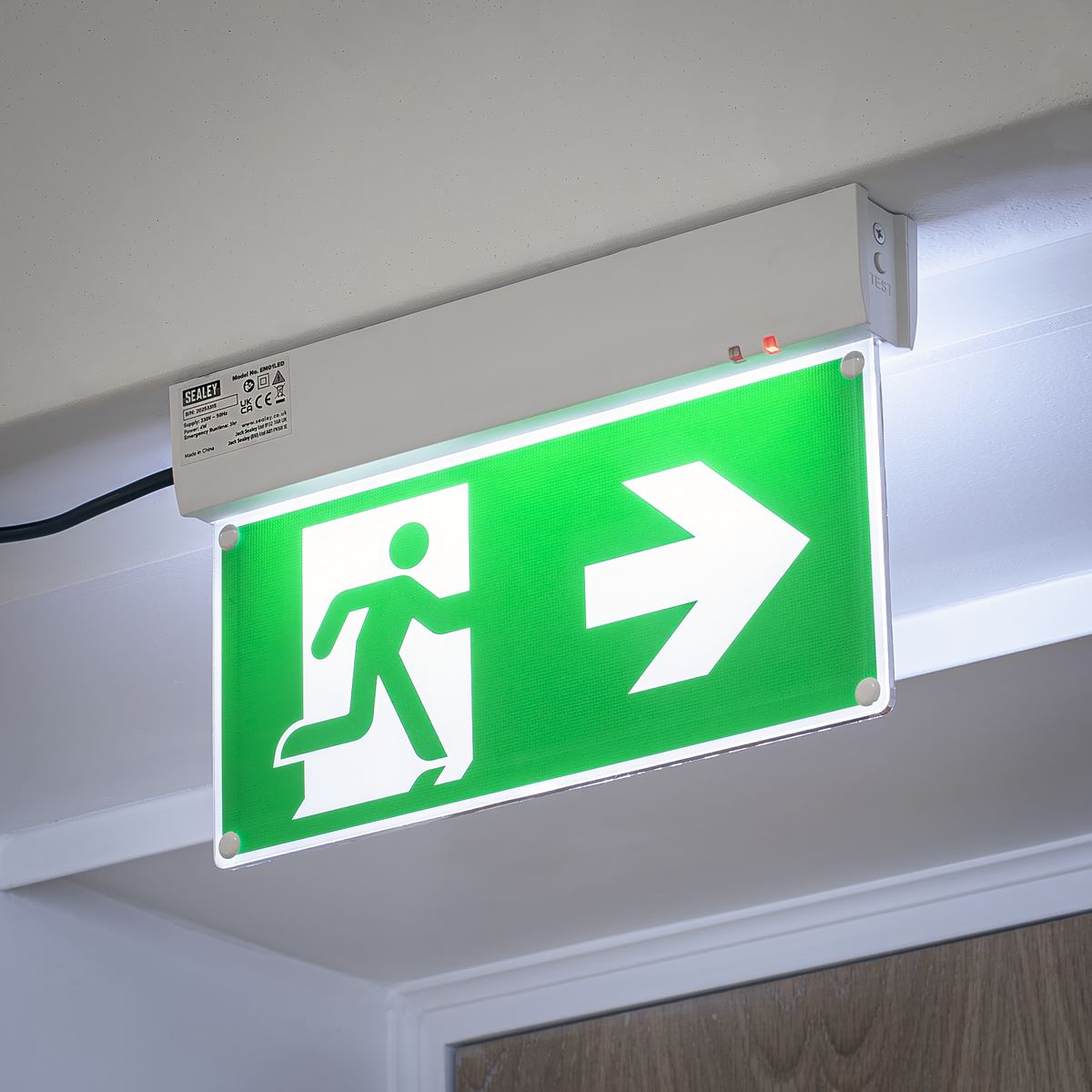 Sealey Maintained Emergency LED Fire Exit Sign  White Rose Tools