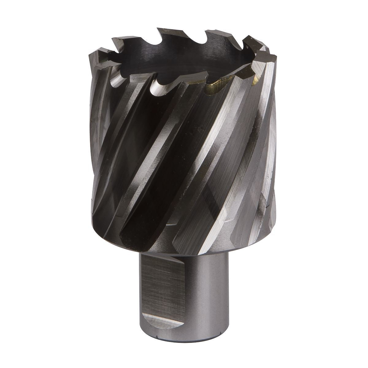 Worksafe by Sealey Mag Drill Bit HSS Ø39mm - Cut Depth 25mm 