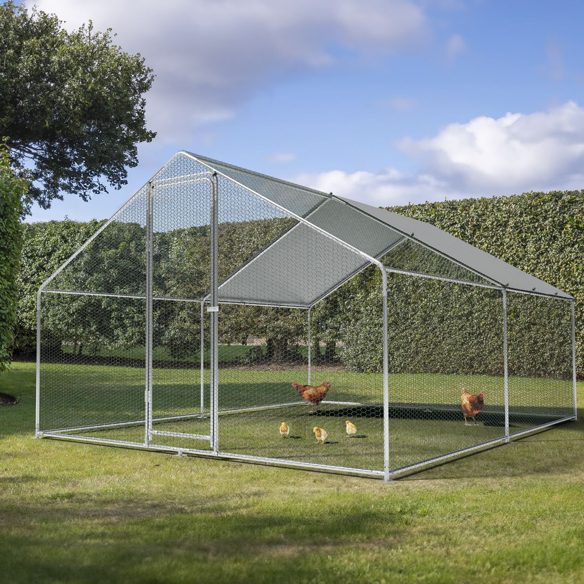 Dellonda 3 x 4 x 2m Walk-In Chicken Run, Galvanized Steel, Roof Cover, PVC Coated Chicken Wire