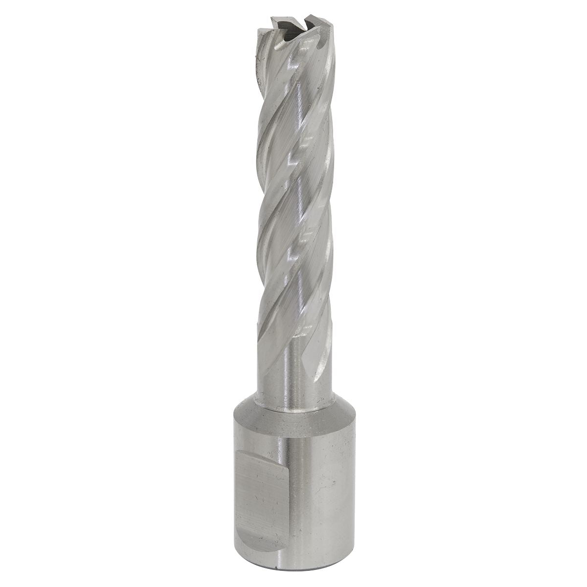 Worksafe by Sealey Mag Drill Bit HSS Ø12mm - Cut Depth 50mm