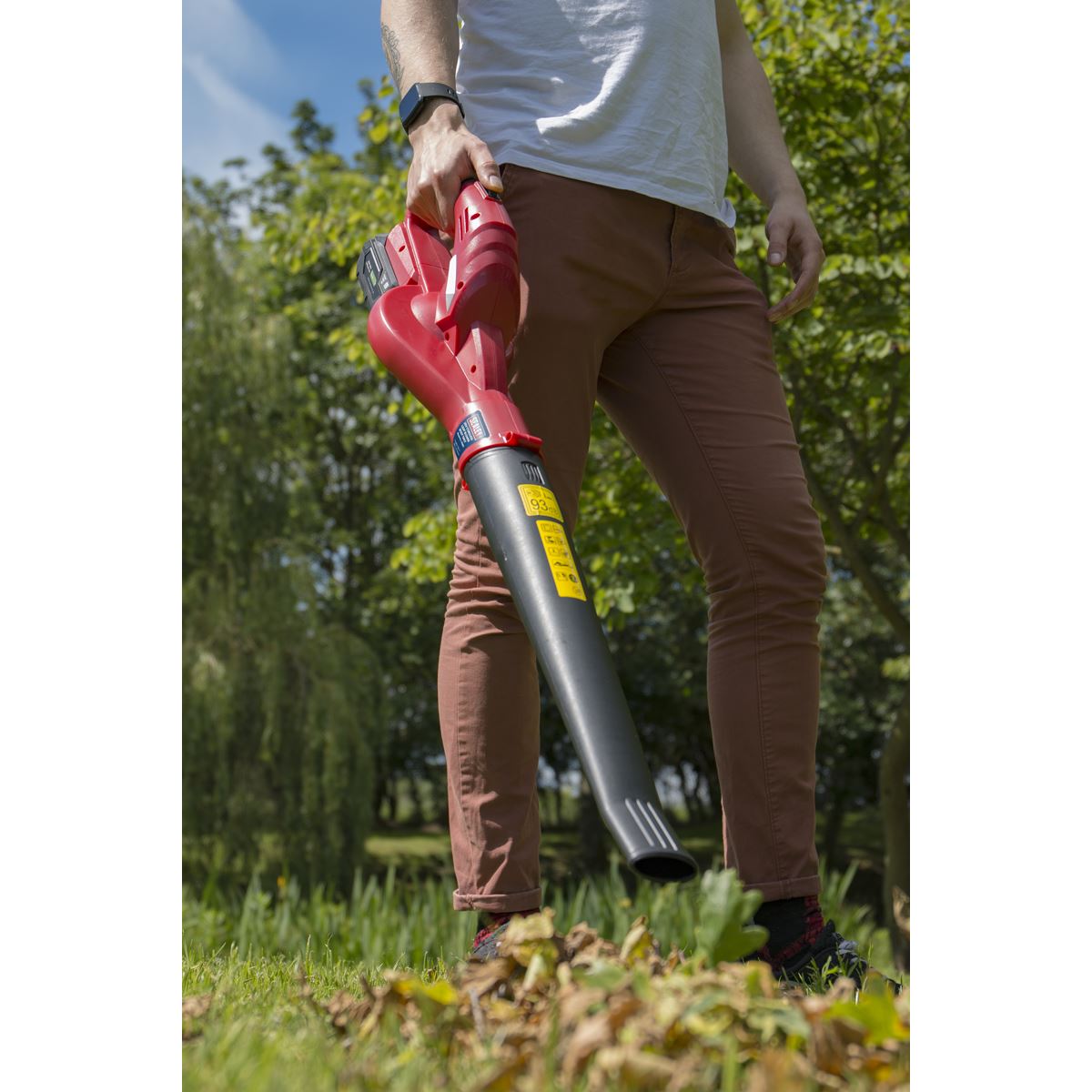 Sealey 20V Cordless Leaf Blower Kit 4Ah Battery and Charger