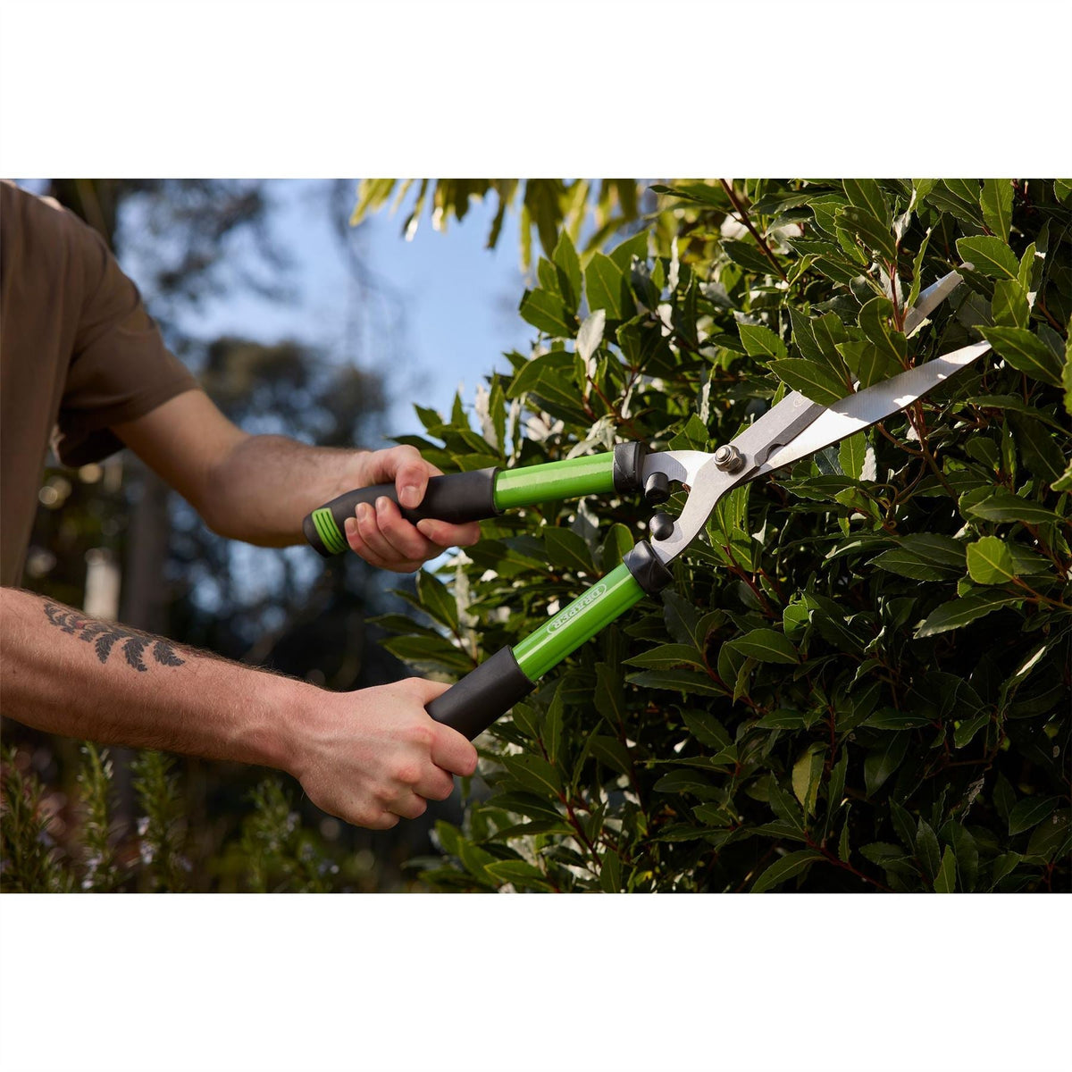 Draper Soft Grip Straight Edge Garden Shears 190mm 36800  White Rose Tools